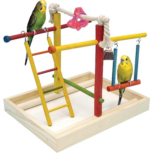 Penn-Plax Bird Life Wooden Playpen – Perfect for Parakeets, Lovebirds, Parrotlets, Cockatiels, and Green Cheek Conures – Medium - color: Multicolor, size: Medium