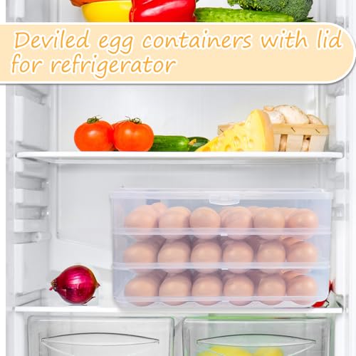 Jgalnim 3 Layer Deviled Egg Trays Containers with Lid,Plastic Refrigerator Egg Carrier with Handle for 72 holes,Clear Storage Platter for Portable Devil Egg,Easter Thanksgiving - style: 3 layer 72eggs