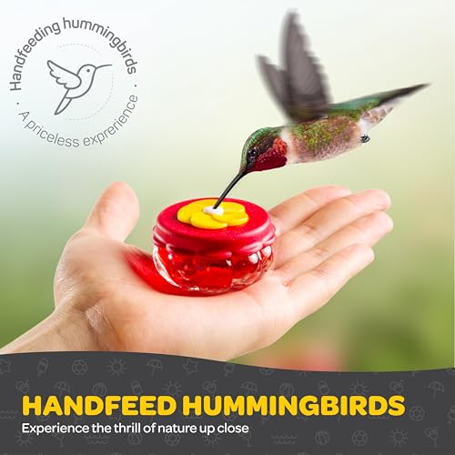 Handheld Small Glass Hummingbird Feeders (Set of 2) with Window Suction Mount Base - Window/Handheld or Tabletop Mini Hummingbird Feeders for Outdoors - style: 2 Hand Feeders + suction cup