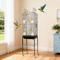 64'' Large Metal Bird Flight Cage with Open Top, Detachable Rolling Stand & Storage Shelf for Parrots, Conures, Lovebirds, Cockatiels, Parakeets, Black