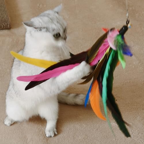 miwoowim 6PCS Cat Wand Toy Refills: 2 Extra-Large & 4 Standard Feathers | Handcrafted Da Bird feathers with bells for allure. Non-toxic, durable, and compatible with most standard teaser wand toys - color: 4 PCS Feather Refills