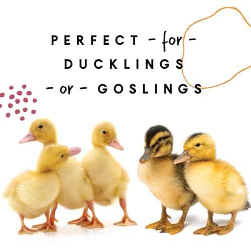 Manna Pro Duck Starter Grower Crumble with Probiotics, 8 lb Bag | Complete Duckling Feed, Added Probiotics, Supports Healthy Growth & Digestion, For Ducks & Young Geese - size: 8 Pound (Pack of 1)