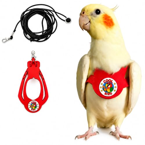 Adjustable Bird Harness & Leash Set for Small Birds,FitsBudgie,Parakeets, Conures, Cockatiels,Green Cheek,Quaker Parrots(Red, M) 6350-3 - color: Red, size: M,for Cockatiel and similar size birds
