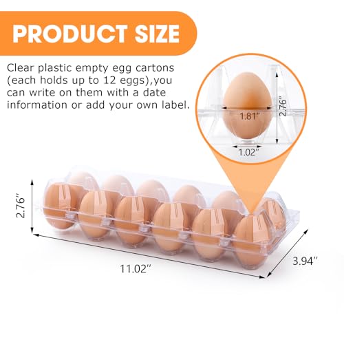 40 Pack Egg Cartons Cheap Bulk,Plastic Egg Carton 2x6 Grids | 12 Count Clear Egg Cartons, Reusable Egg Holder Egg Trays for Family, Chicken Farm, Markets Display - Medium Egg Container - size: 2X6-40PCS