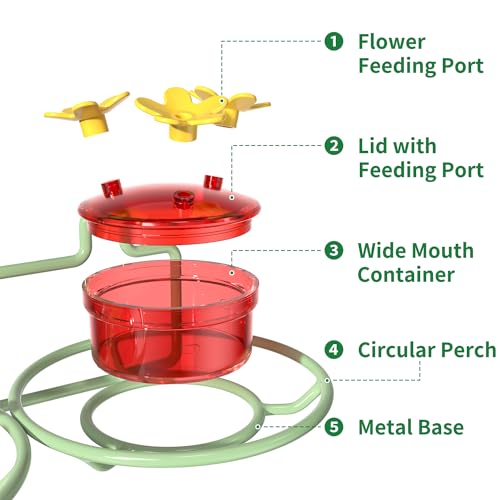 Dreamdrawer Window Hummingbird Feeder, Small Hummingbird Feeder for Outdoors with Strong Suction Cup - Metal Base & 6 Feeding Ports, Easy to Clean and Refill - color: 1PC-Green