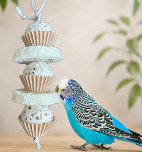 Shred and Destroy Natural Bird Toy - Double Texture Soft & Crunchy - Sola Ball and Loofah Plant - Small Birds - Budgies, Lovebirds - 2 Pack