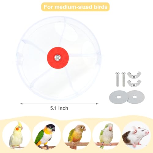 Bird Creative Foraging System Wheel Seed Food Ball Rotate Training Toy for Small and Medium Parrots Parakeet Cockatiel Conure (Clear) - color: Clear