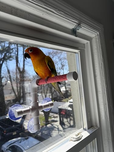 CleanPerch™ Window Bird Perch with Suction Cups. Grooming & Outside Viewing Perch for Parrots, Conures & Small Birds. Window-Mounted Bird Stand (White/Pink, 6") - color: Pink, size: 6"