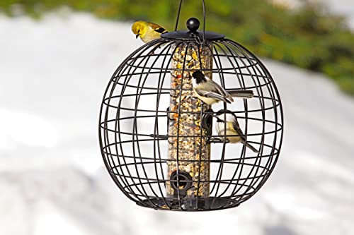Gardener's Supply Company Globe Cage Bird Feeder | Outdoor Sturdy and Squirrel Proof Hanging Cage | Best for Finches Hummingbirds Nuthatches and Other Small Birds - Holds 3 Cups of Seeds