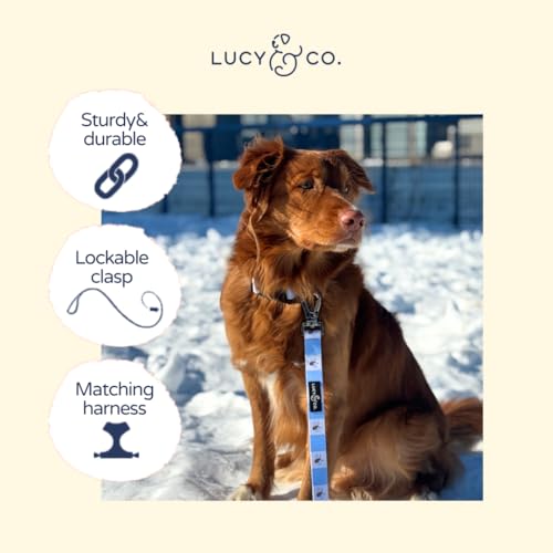 Lucy & Co. Bumbling Around Dog Leash, Durable Matching Dog Lead with Heavy Duty Hardware, Small - color: Bumbling Around, size: Small