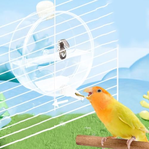Birds Water Dispenser 350ml Portable Hangable Birds Water Feeder Pet Supplies Transparent Pet Bird Water Bottle Lovebird