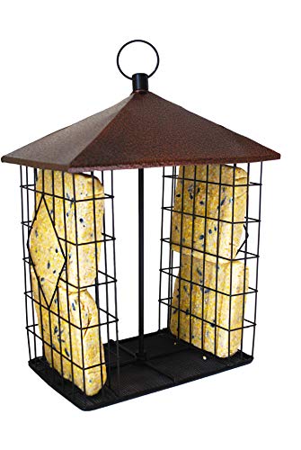 Fly-Through Suet Cake Feeder | Holds up to 4 Suet Cakes for Wild Birds