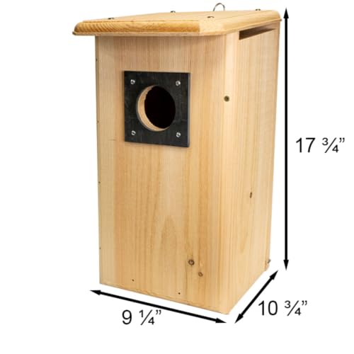 Northern Flicker House