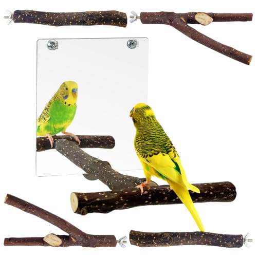 BNOSDM 5PCS Bird Mirror with Perches Stand Parrot Natural Wood Stick Perches Forked Perch Branch Parakeet Toy Set Bird Cage Accessories for Budgie Cockatiel Conure Finch Lovebird