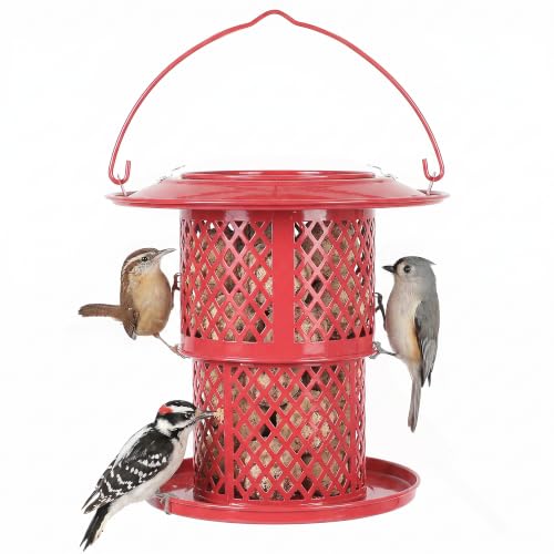 KOL Metal Suet Ball Feeder for Birds – Single-Layer Expandable Design Suet Bird Feeder, Heavy-Duty Wild Bird Feeder with Secure Lid, Large Capacity for Backyard (Red) - color: Red