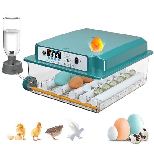 Egg Incubator for Hatching 16 Eggs|24 Quail Eggs, All-in-One Auto Incubator | Automatic Egg Turning, Precise Temperature Control, Stable Humidity Control, Adjustable Rollers for Duck, Goose, Pigeon Eggs