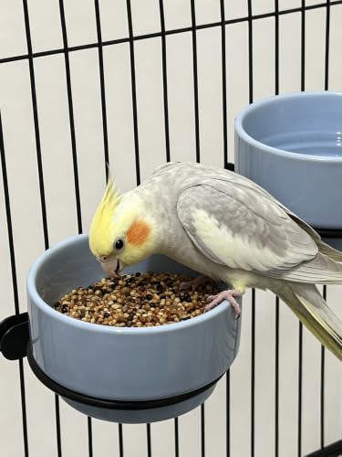 2 Pcs Bird Food Bowl Ceramic Bowls for Birds Small Parakeet Food Bowl Parrot Feeding Cups, Bird Cage Feeder for Parakeets Conure Cockatiels Lovebird Budgie (Blue)