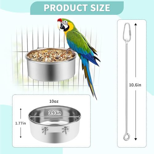 2 Pcs Bird Feeder Bowls with 3 Pcs Food Holder for Cage, Parrot Food Water Bowls and Fruit Skewer Foraging Toy, Stainless Steel Bird Feeding Dish Cups for Small Animals (Silvery, 5 Pcs)