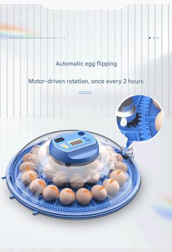 JUJOJB 12-Egg Incubator with Automatic Turner and Temperature Control | Humidity control, built-in egg candler, 360-degree clear window. For chicken, duck, quail, turkey eggs. Adjustable dividers. - color: Blue