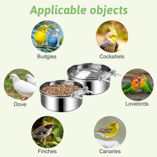 Tfwadmx 6 Pcs Stainless Steel Bird Bowls with Clamp,Clamp Holder Coop Cup,Bird Dishes for Cage, Cage Water Bowl for Cockatiels Lovebird Budgie Chinchilla