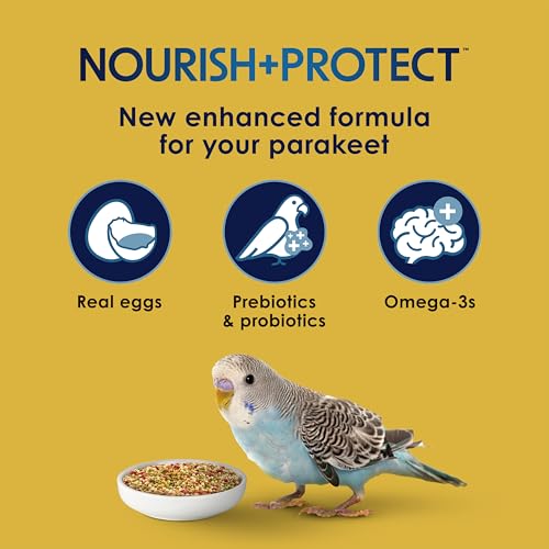 Kaytee Forti-Diet Pro Health Egg-Cite! Nourish+Protect Parakeet Bird Seed | Balanced digestion. Parakeet bird food with real egg. Parakeet food for breeding, molting, with prebiotics