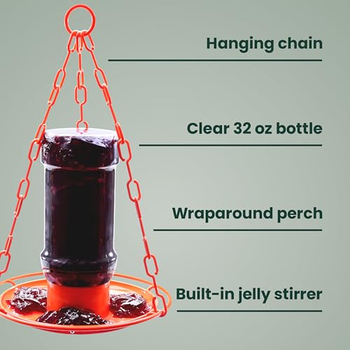 Perky-Pet Wild Oriole Jelly Bird Feeder, 32oz Capacity | Built-in Stirrer with Large Circular Feeding Tray, Wraparound Perch, Outdoor Garden Décor for Backyard Birding & Wildlife