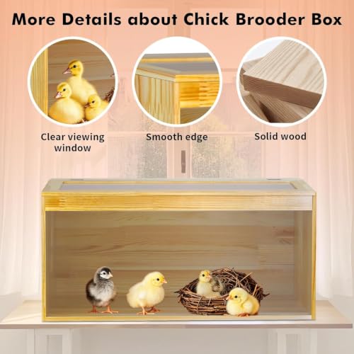 Large Chicken Brooder Box, All-in-One Brooder with Heating Lamps, Moisture Proof Pad, Thermometer, Cleaning Tools and Pee Pads, for Chicks, Quail, Hamsters, Up to 30 Chicks, 31.5" × 15.7" × 15.7"