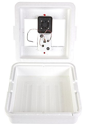 Little Giant® Digital Circulated Air Incubator | 41 Egg Capacity | Chick Egg Hatching Incubator with Circulated Fan, Temperature and Humidity Control | Made in USA - style: Incubator with Fan