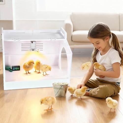 Iarge Scale Chick brooder Box Quail cage Egg Incubator Chicken brooder 20 | Chick Starter Kit Baby Chicken Cage Take 2 Heat lamp 2 Chick feeder and waterer kit White 27. 5 in