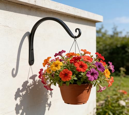 Gtongoko 8" Outdoor Plant Hanger Wall Bracket, Heavy Duty, 2 Pack | 44lb Capacity,Rust-Resistant Finish,Easy Installation,Fit Hanging Baskets,Ideal for Bird Feeders & Lanterns - size: 8 Inch, style: C-shape