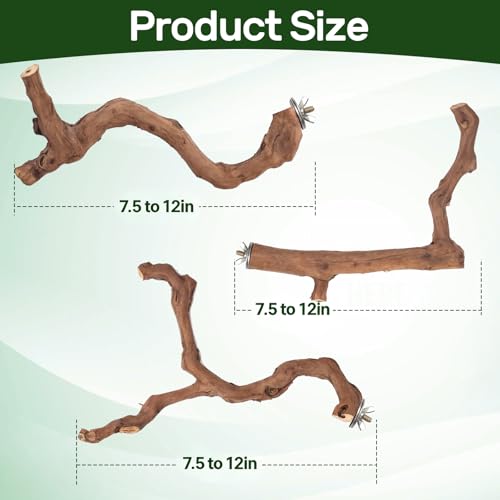 3-Piece Premium Bird Perch Stand with Natural Grape Wood Branch, Paw Grinding Fork, Chewing Stick, Cage Accessories for Parakeets, Budgies, Cockatiels, Finches, Lovebirds - size: 3Piece