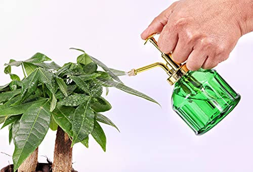 Glass Plant Mister - 6.5" Green Glass Water Spray Bottle with Gold Top Pump, Small Plant Sprayer for Indoor/Outdoor House Plants - style: Green+Gold B