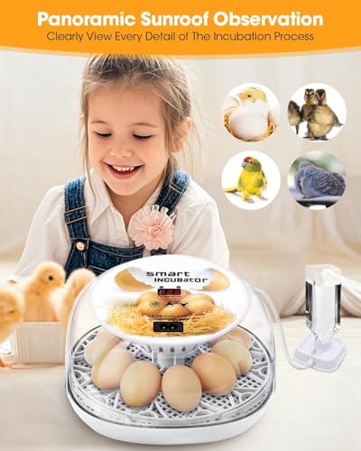 Incubators for Hatching Eggs, Chicken Waterer Cups, Automatic Egg Turner Holds 12 Eggs, Smart Incubator 360° Clear Window with Temperature Display Egg Candler for Small Poultry Chickens Ducks Quails - color: White