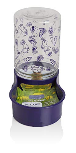 Lixit Reversible Waterer/Feeder for Rabbits and Other Small Animals. (Pack of 1),Purple - size: Pack of 1
