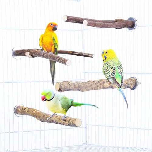 4 PCS Natural Parrot Perch Wooden Parrot Perch Stand Bird Stand Parakeet Climbing Standing Branches Toy for Small Lovebirds Budgies Cockatiels