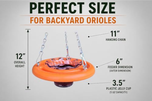 Oriole Bird Feeder, 6 Inch Orange Fruit Jelly Feeder, Baltimore Oriole Hanging Design (2)