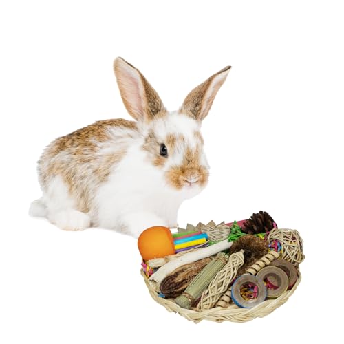 Super Bird Creations SC228 Bunny Foraging Basket - Toss & Chewable Bamboo Plate w/ 25 Engaging Toys - Ideal for Rabbits Hamsters Cockatiel Parrot - Bundle Toys for Medium Birds & Small Animals, 9"x9"