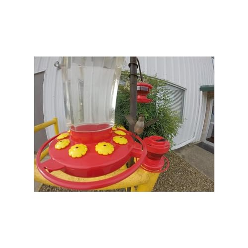 First Nature Hummingbird Flower Feeder - 32‑Ounce - Wide‑Mouth | Bright Flower Ports Attract Birds - Round Bottom Perch Fits Multiple Birds - See-Through Tank Shows Nectar Levels - size: 32 ounce