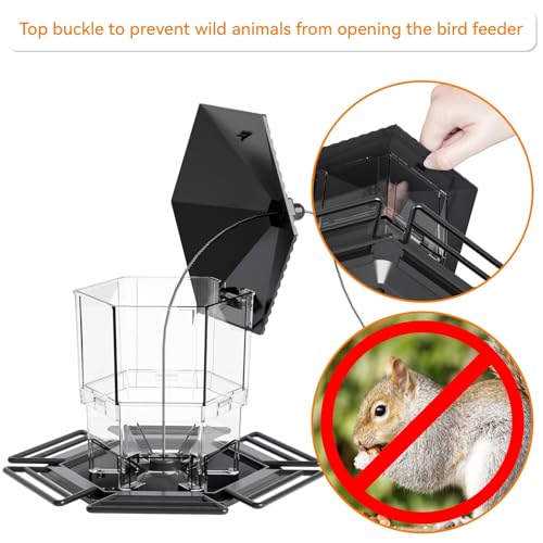 Hopper Bird Feeders for Outdoors Hanging,Black 455