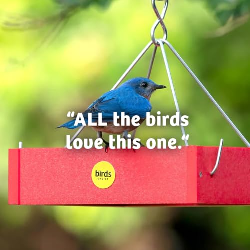 Birds Choice Bugs 'N Nuts Cylinder Seed | Wild Bird Food with Insects & Fruit | High-Energy Mix of Sunflower Hearts, Peanuts, Mealworms & Tree Nuts | High Protein & Bird Feed | 2.5 lbs | High-Energy Mix of Sunflower Hearts, Peanuts, Mealworms and Tree Nut