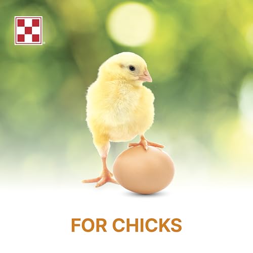 Purina Start and Grow | Non-Medicated Chick Feed Crumbles | Nutritionally Complete - 25 Pound (25 lb.) Bag
