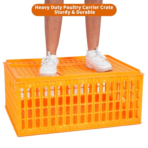 lukar 1 Piece Poultry Carrier Crate Heavy Duty Chicken Transport Cage | Plastic Chicken Carrier Crates Transport Box for 10-13 Adult Chickens Duck Goose Birds, 29.5 x 21.7 x 13 Inch