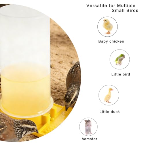 Large Capacity Quail Water Feeder with Small Cleaning Brush,Button Quail Supplies for coturnix cage,Baby Chick Water Feeder for Poultry Starter,Universal for Baby Chicks/Baby Birds