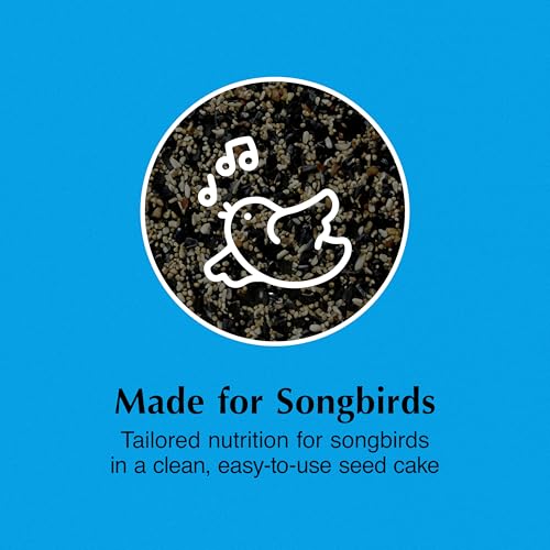 C&S Songbird Snak Seed Cakes for Wild Birds, Suet Nuggets | Bird seed cake with black oil sunflower seed, peanut suet nuggets, year-round feeding with less mess and waste
