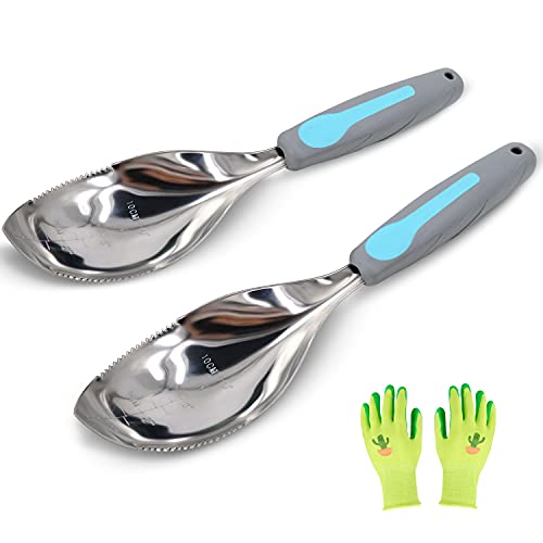 2Pack Garden Trowel, Stainless Steel Hand Shovel with Ergonomic Handle, Multi-Use Soil Scoops for Digging, Planting, Transplanting, Cultivating(Blue) - color: blue