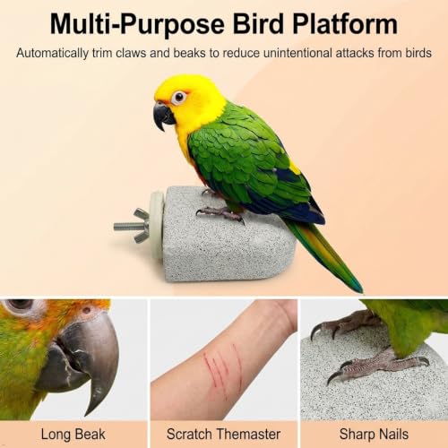 Bird Perch Stand, Volcanic Stone Parakeet Platform, Beak Grinding and Foot Exercise Toy for Small Birds, 2.56x2.75 in, 4 Pack