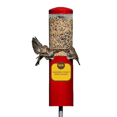 Birds Choice Classic Squirrel Proof Bird Feeder with Pole Mount | Tube Bird Feeder for Cardinals, Chickadees, Woodpeckers | Sturdy Steel for Long-Lasting Use | Backyard Bird Seed Dispenser | Green | Sturdy Steel Tube Seed Dispenser, for Cardinals, Chickad