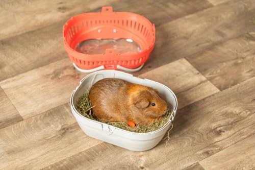 Trixie Pico Transport Crate, Small Pet Carrier, Portable Travel Carrier, for Small Pets, Hamsters, Guinea Pig, Lizards | Portable Pet Carrier, Ideal for On-The-Go, Traveling Cage for Small Pets, Bunnies, Hamsters, Guinea Pigs, Lizards - size: 11.8"L x 8.3