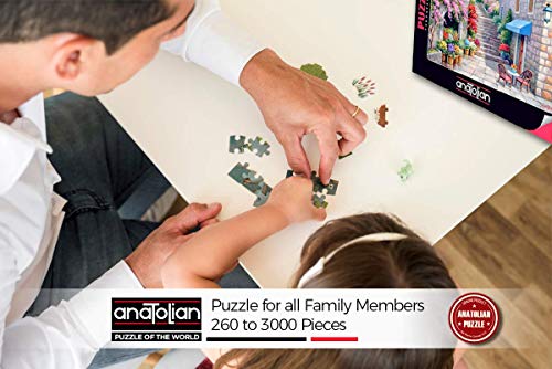 Anatolian Puzzle - Paris Roof Terrace, 1000 Piece Jigsaw Puzzle, #1091, Model Number: ANA1091 - color: Paris Roof Terrace