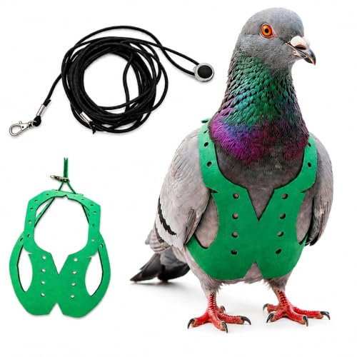 Adjustable Bird Harness & Leash Set for Small Birds,FitsBudgie,Parakeets, Conures, Cockatiels,Green Cheek,Quaker Parrots(Green, 2XL) 6350-14 - color: Green, size: 2XL,for domestic Pigeon and similar size birds
